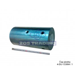 KZM 10022955   CAP PIESTNY 310